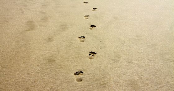 Footprints: MX Records
